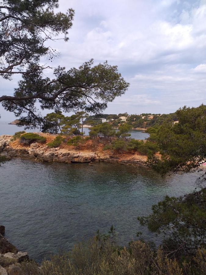 Apartment Joli Res Au Calme En Rez De Jardin A Bandol.